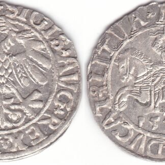 4SA84-24. Žygimanto Augusto lietuviškas pusgrašis, 1558 m.