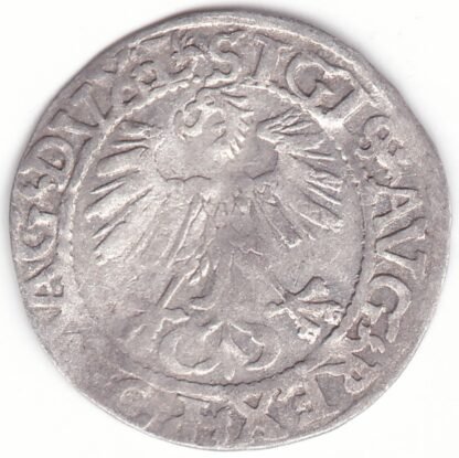 4SA109-29. Žygimanto Augusto lietuviškas pusgrašis, 1561 m. - Image 2