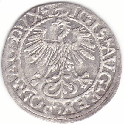 4SA110-29. Žygimanto Augusto lietuviškas pusgrašis, 1561 m. - Image 2