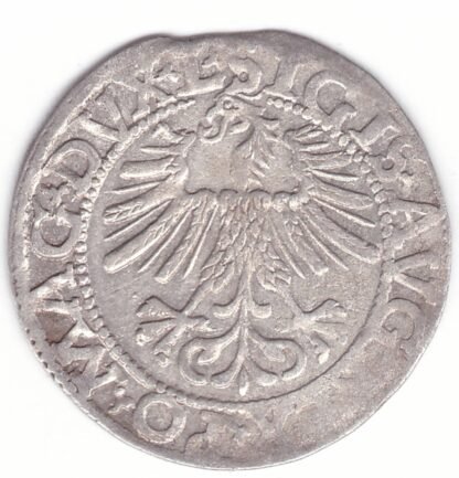 4SA114-29. Žygimanto Augusto lietuviškas pusgrašis, 1562 m. - Image 2