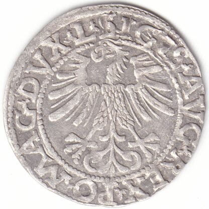 4SA118-30. Žygimanto Augusto lietuviškas pusgrašis, 1562 m. - Image 2