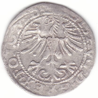4SA158-43. Žygimanto Augusto lietuviškas pusgrašis, 1564 m. - Image 2