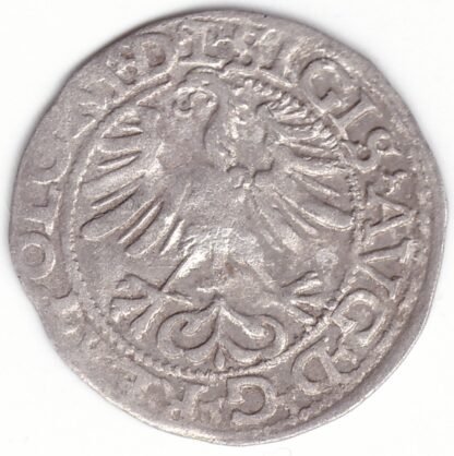 4SA165-34 Žygimanto Augusto lietuviškas pusgrašis, 1565 m. - Image 2