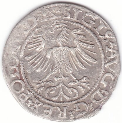 4SA165-34 Žygimanto Augusto lietuviškas pusgrašis, 1565 m. - Image 2
