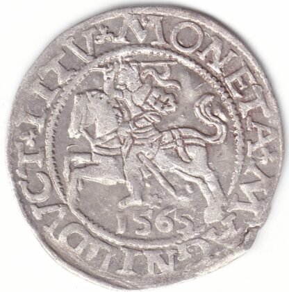 4SA166-34. Žygimanto Augusto lietuviškas pusgrašis, 1565 m. DVCT - Image 3