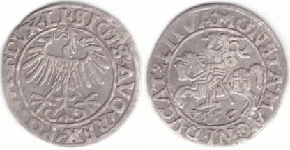 4SA59-16. Žygimanto Augusto lietuviškas pusgrašis, 1556 m.