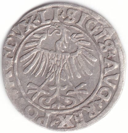 4SA59-16. Žygimanto Augusto lietuviškas pusgrašis, 1556 m. - Image 2