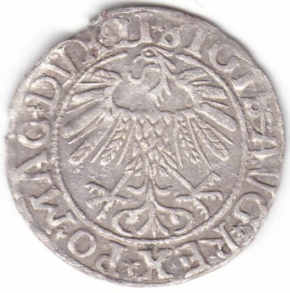 4SA84-24. Žygimanto Augusto lietuviškas pusgrašis, 1558 m. - Image 2