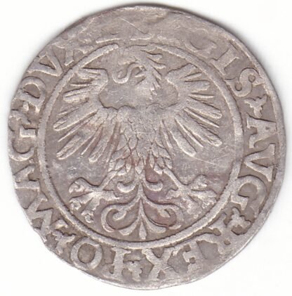 4SA94-24. Žygimanto Augusto lietuviškas pusgrašis, 1560 m. - Image 2