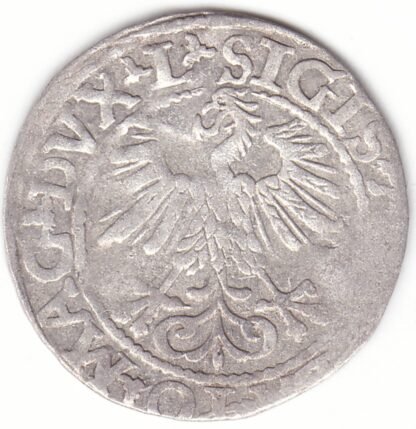 4SA95-24. Žygimanto Augusto lietuviškas pusgrašis, 1560 m. - Image 2