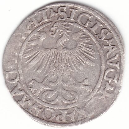 4SA98-24. Žygimanto Augusto lietuviškas pusgrašis, 1560 m. - Image 2