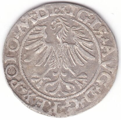 Neaprašytas Žygimanto Augusto lietuviškas pusgrašis, 1565 m. DVCT DL. - Image 2