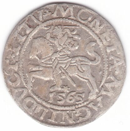 Neaprašytas Žygimanto Augusto lietuviškas pusgrašis, 1565 m. DVCT DL. - Image 3