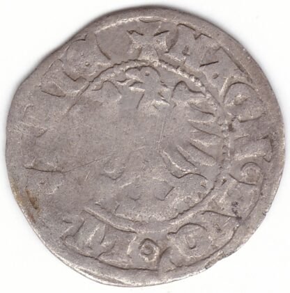 H27 F. Aleksandro Jogailaičio lietuviškas pusgrašis. MAGN'. - Image 3