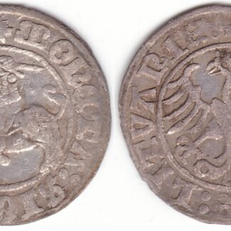 H34 D. Žygimanto Senojo lietuviškas pusgrašis, 1509 m.