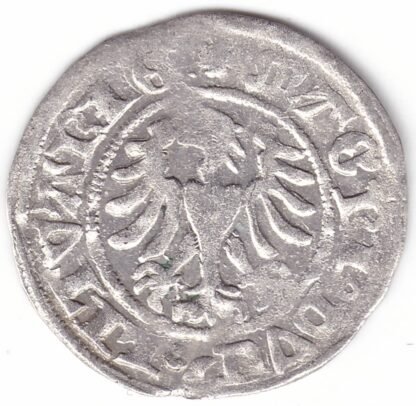 H4 L1. Aleksandro Jogailaičio lietuviškas pusgrašis - Image 3