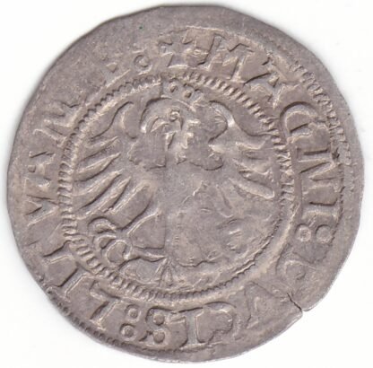 H77 A. Žygimanto Senojo lietuviškas pusgrašis, 1521 m. SIGISMVANDI. - Image 3