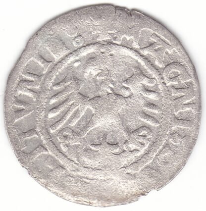 H79 AS. Žygimanto Senojo lietuviškas pusgrašis, 1521 m. LITVNIE. - Image 3