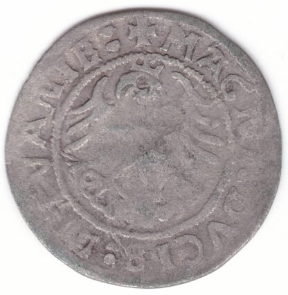 H79 AU1. Žygimanto Senojo lietuviškas pusgrašis, 1521 m. MONEA. - Image 3