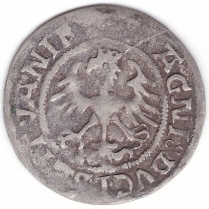 H79 BP. Žygimanto Senojo lietuviškas pusgrašis, 1521 m. - Image 3