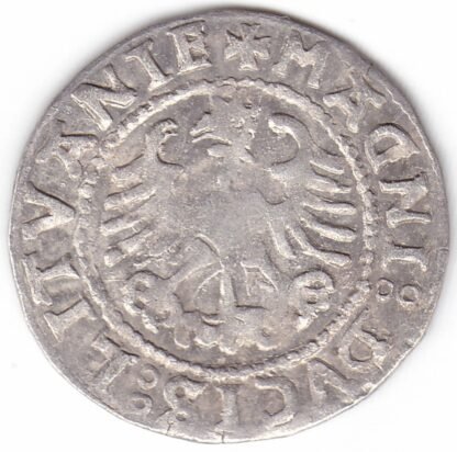 H97 B. Žygimanto Senojo lietuviškas pusgrašis, 1528 m. MOИEA. - Image 3
