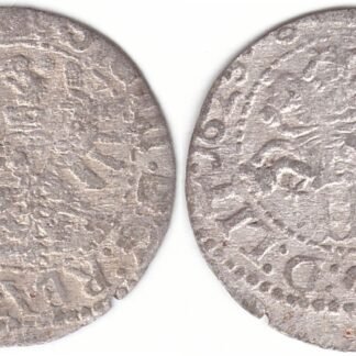 2SV101-61. Žygimantas Vaza. Lietuviškas 1623 m. šilingas.