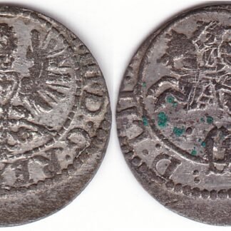 2SV98-49. Žygimantas Vaza. Lietuviškas 1623 m. šilingas.