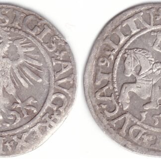 4SA109-29. Žygimanto Augusto lietuviškas pusgrašis, 1561 m.