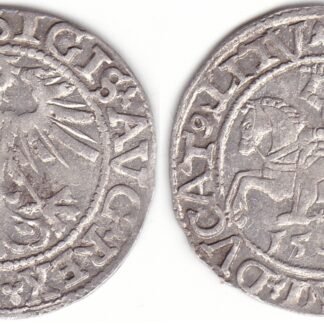 4SA114-29. Žygimanto Augusto lietuviškas pusgrašis, 1562 m.