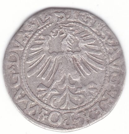 4SA114-29. Žygimanto Augusto lietuviškas pusgrašis, 1562 m. - Image 2