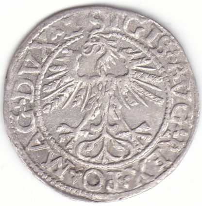 4SA115-29. Žygimanto Augusto lietuviškas pusgrašis, 1562 m. - Image 2
