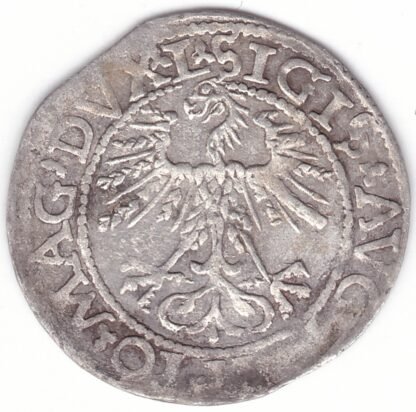 4SA115-29. Žygimanto Augusto lietuviškas pusgrašis, 1562 m. - Image 2