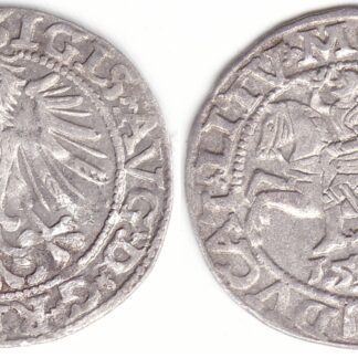 4SA132-33. Žygimanto Augusto lietuviškas pusgrašis, 1563 m.