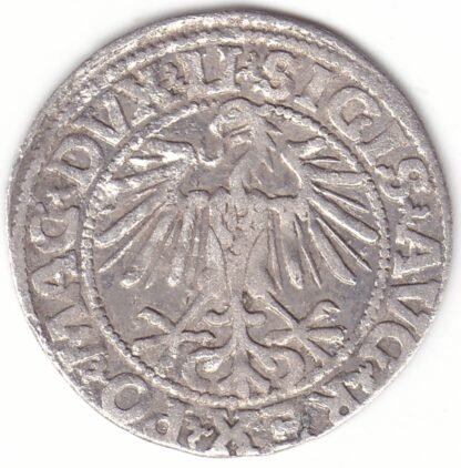 4SA40-12. Žygimanto Augusto lietuviškas pusgrašis, 1549 m. - Image 2