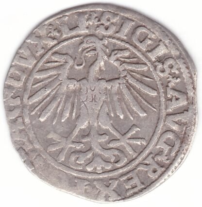 4SA45-13. Žygimanto Augusto lietuviškas pusgrašis, 1550 m. - Image 2