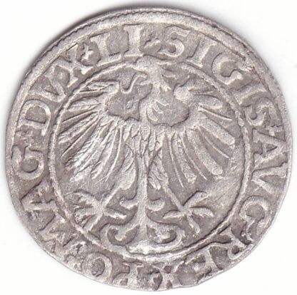 4SA68-16. Žygimanto Augusto lietuviškas pusgrašis, 1557 m. - Image 2