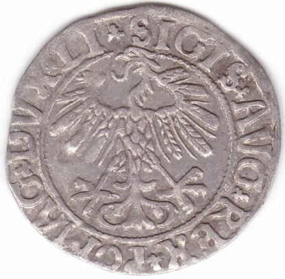 4SA84-24. Žygimanto Augusto lietuviškas pusgrašis, 1558 m. - Image 2