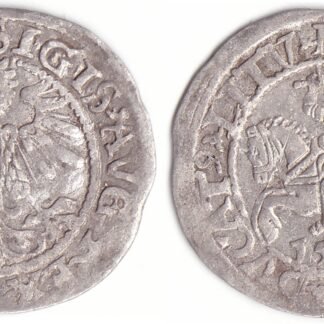 4SA94-24. Žygimanto Augusto lietuviškas pusgrašis, 1560 m.