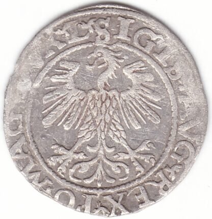 4SA94-24. Žygimanto Augusto lietuviškas pusgrašis, 1560 m. - Image 2