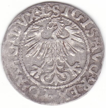 4SA94-24. Žygimanto Augusto lietuviškas pusgrašis, 1560 m. - Image 2