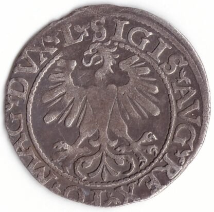 4SA95-24. Žygimanto Augusto lietuviškas pusgrašis, 1560 m. - Image 2