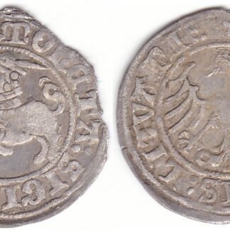 H33 H. Žygimanto Senojo lietuviškas pusgrašis, 1509 m. Veidrodinė D.