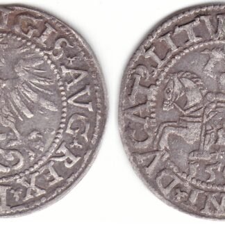 4SA116-29. Žygimanto Augusto lietuviškas pusgrašis, 1562 m.