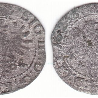 2SV101-61. Žygimantas Vaza. Lietuviškas 1623 m. šilingas.