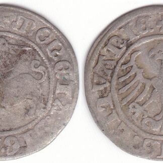 H33 V. Žygimanto Senojo lietuviškas pusgrašis, 1509 m. IŠ KNYGOS, data 1:509