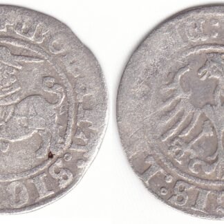 H33 X. Žygimanto Senojo lietuviškas pusgrašis, 1509 m. IŠ KNYGOS, data 1:509