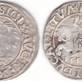 4SA192-16. Žygimanto Augusto lietuviškas pusgrašis, 1556 m.