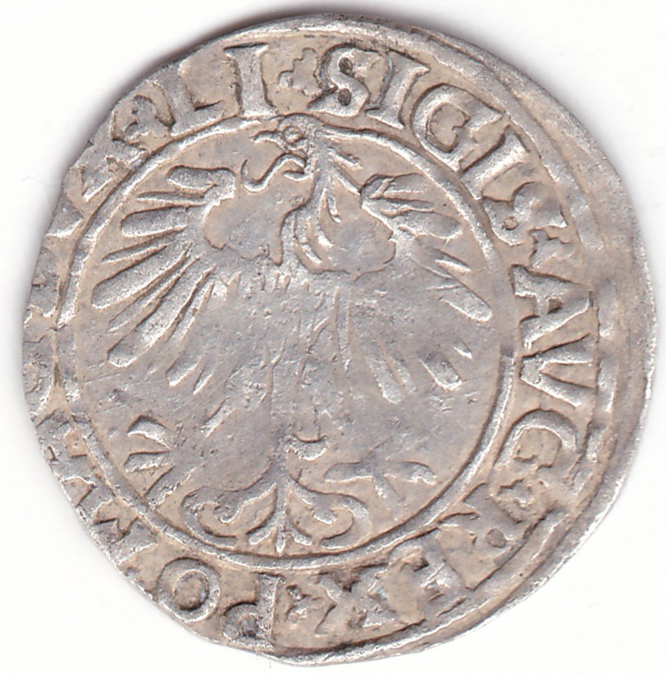 4SA192-16. Žygimanto Augusto lietuviškas pusgrašis, 1556 m. - Image 2