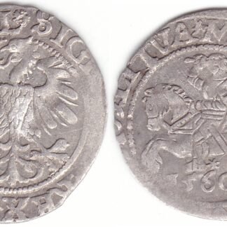 4SA101-26. Žygimanto Augusto lietuviškas pusgrašis, 1560 m. Rozetė averse.