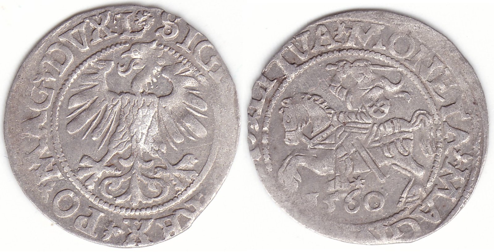 4SA101-26. Žygimanto Augusto lietuviškas pusgrašis, 1560 m. Rozetė averse.